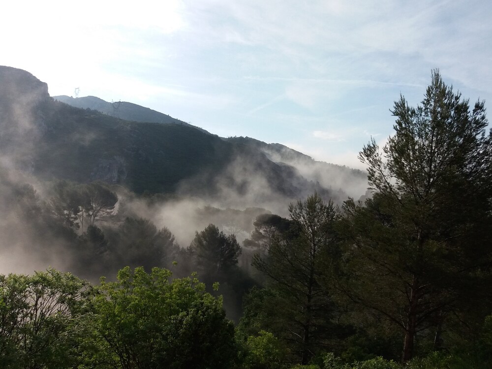 brume2